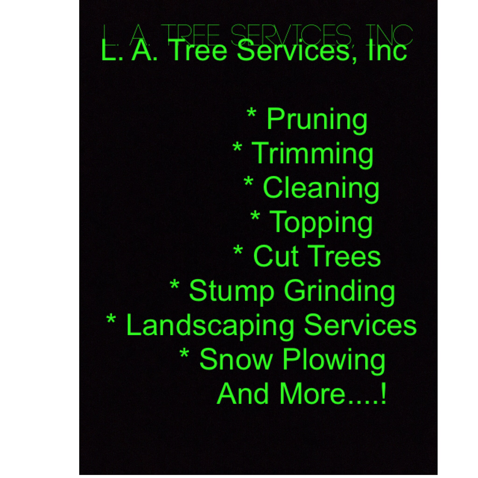 Photo of L.A. Tree Services, Inc in Hempstead City, New York, United States - 1 Picture of Point of interest, Establishment