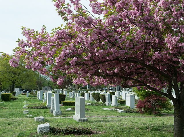 Photo of Riverside Cemetery in Saddle Brook City, New Jersey, United States - 9 Picture of Point of interest, Establishment, Cemetery