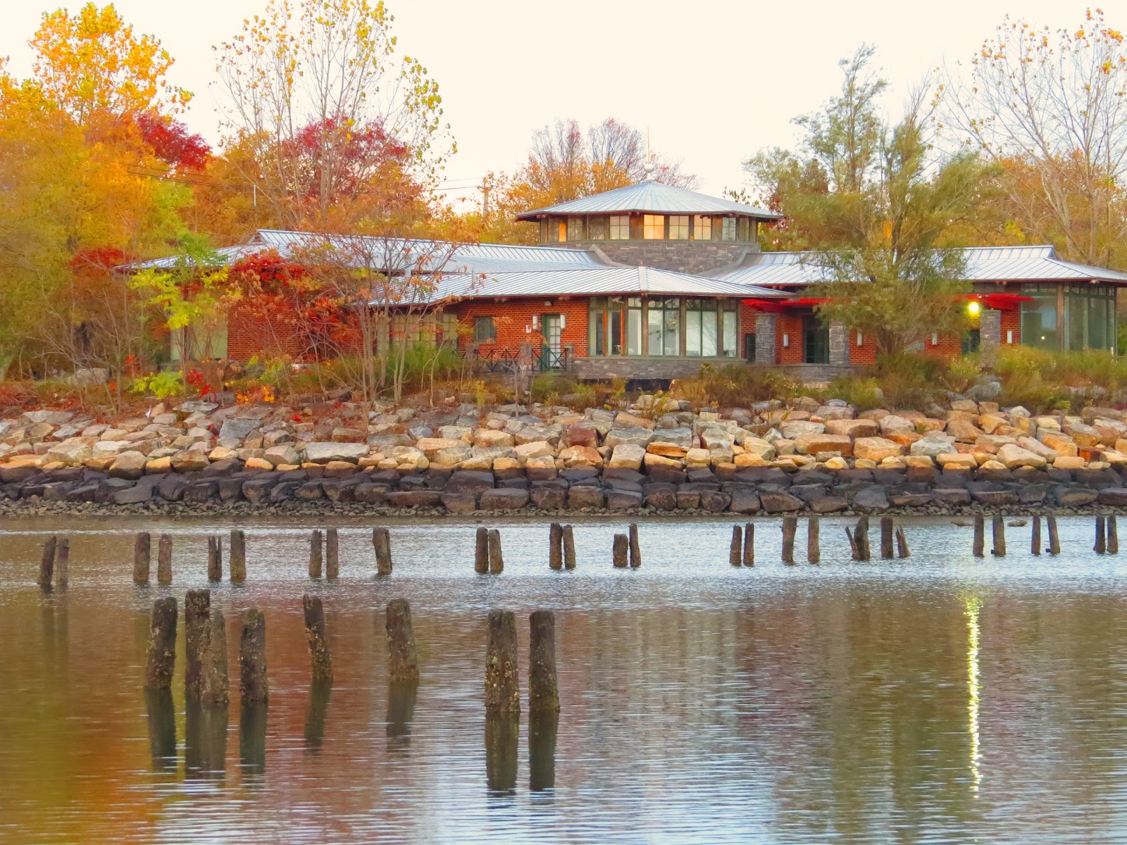 Photo of Salt Marsh Nature Center in Brooklyn City, New York, United States - 2 Picture of Point of interest, Establishment, Park