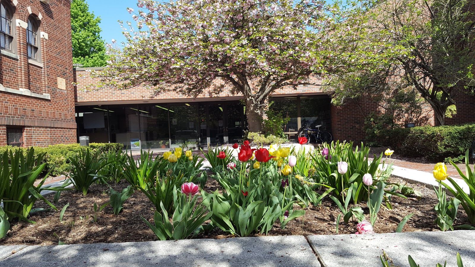 Photo of Louis Bay 2nd Public Library in Hawthorne City, New Jersey, United States - 1 Picture of Point of interest, Establishment, Library