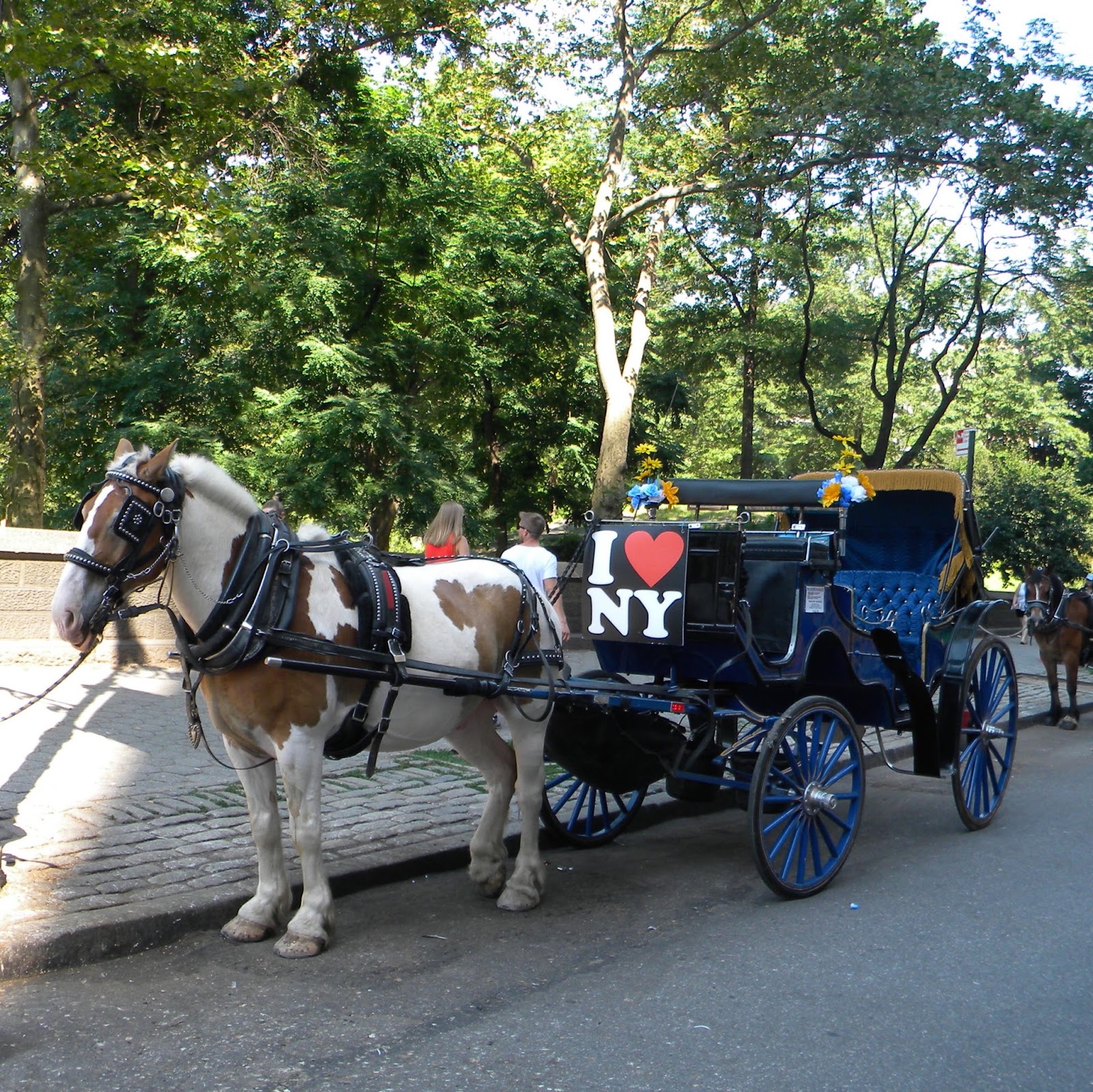 Photo of Central Park Carriage Rides in Manhattan City, New York, United States - 1 Picture of Point of interest, Establishment, Travel agency