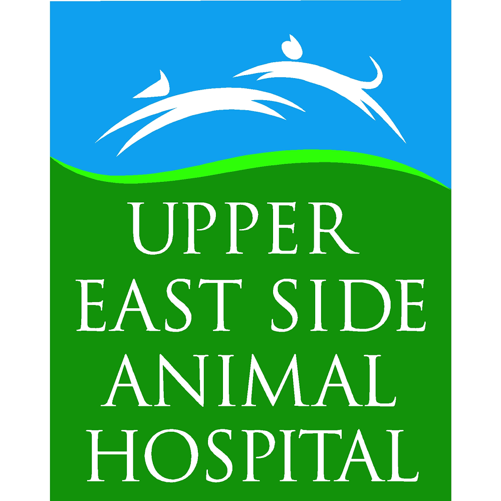 Photo of Upper East Side Animal Hospital in New York City, New York, United States - 2 Picture of Point of interest, Establishment, Veterinary care