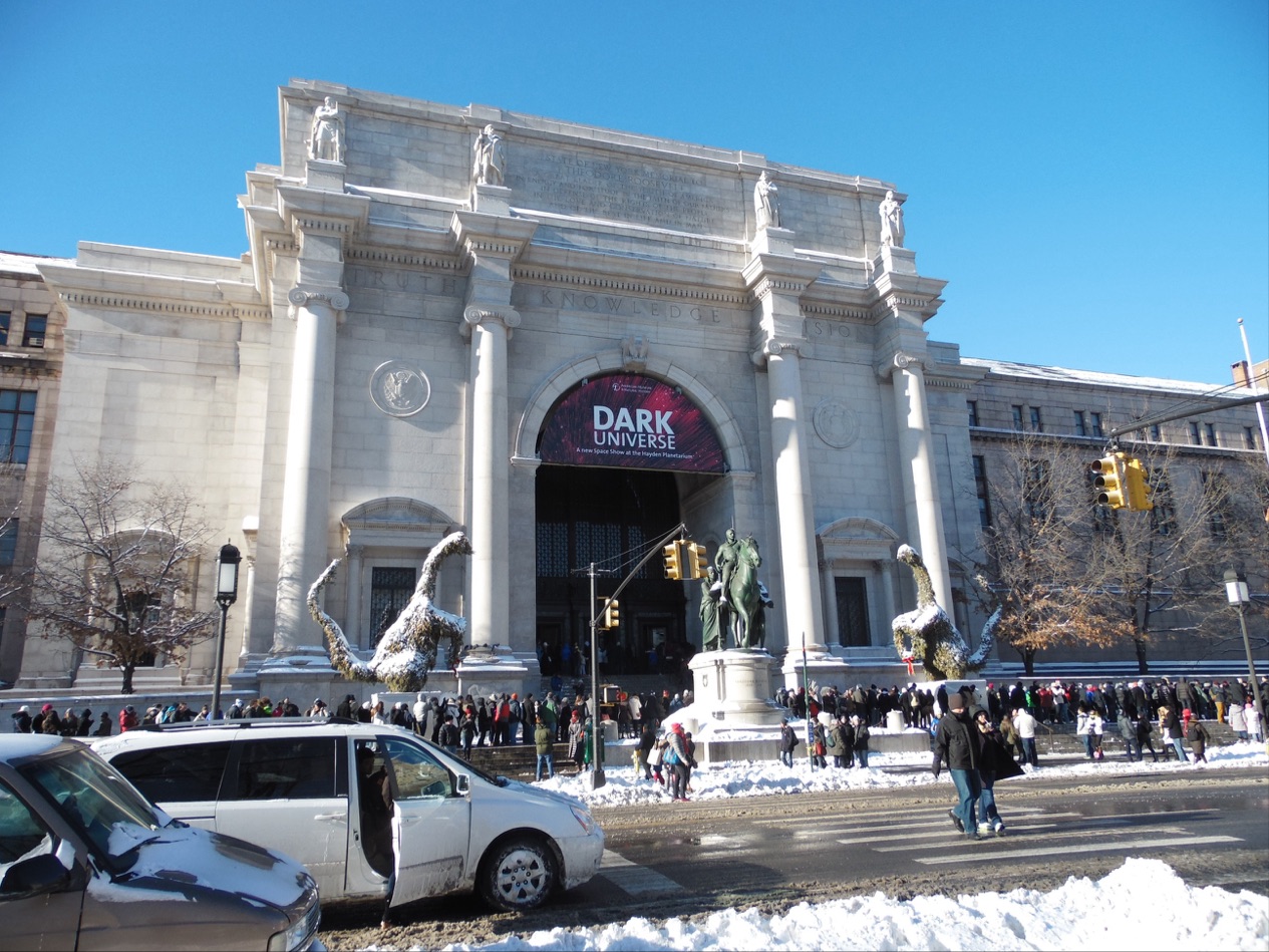 Photo of The Museum Shop - American Museum of Natural History in New York City, New York, United States - 1 Picture of Point of interest, Establishment, Store