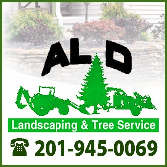 Photo of Al D Landscaping & Tree Services in Fairview City, New Jersey, United States - 8 Picture of Point of interest, Establishment, General contractor