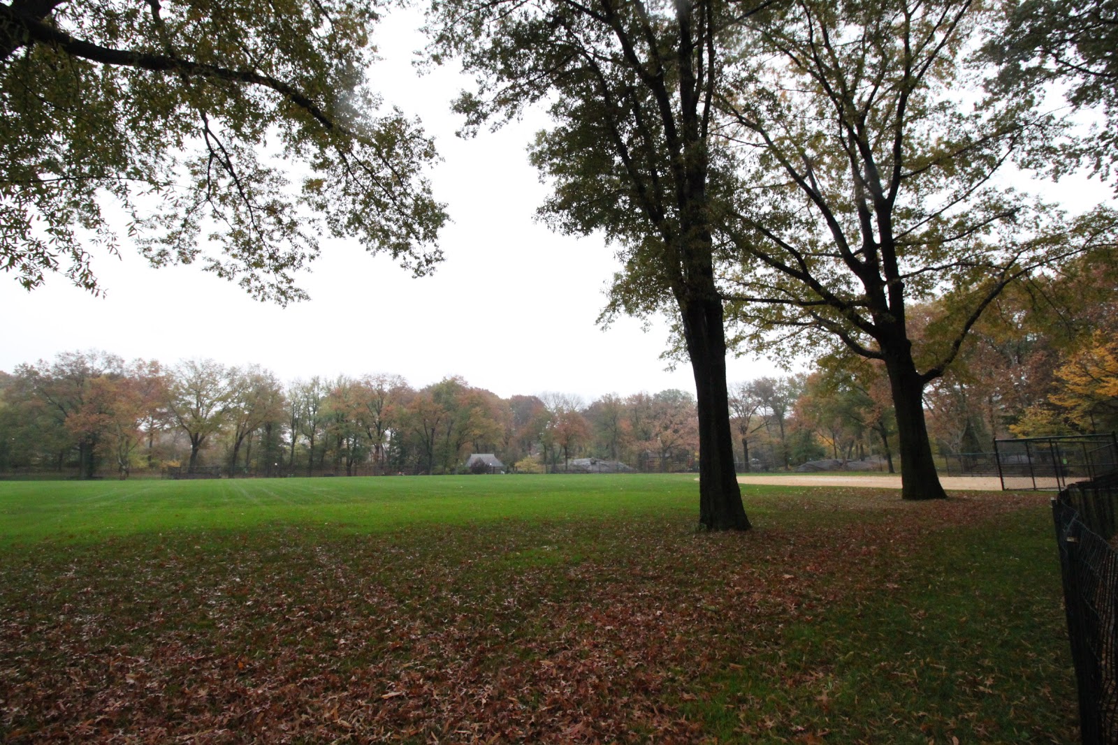 Photo of Heckscher Ballfields in New York City, New York, United States - 1 Picture of Point of interest, Establishment