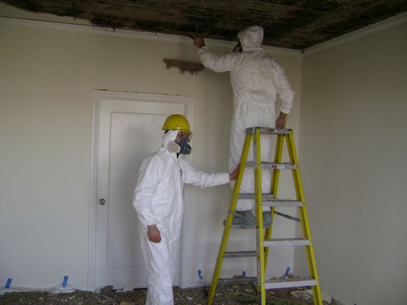 Photo of Five Towns Mold Removal in Woodmere City, New York, United States - 5 Picture of Point of interest, Establishment