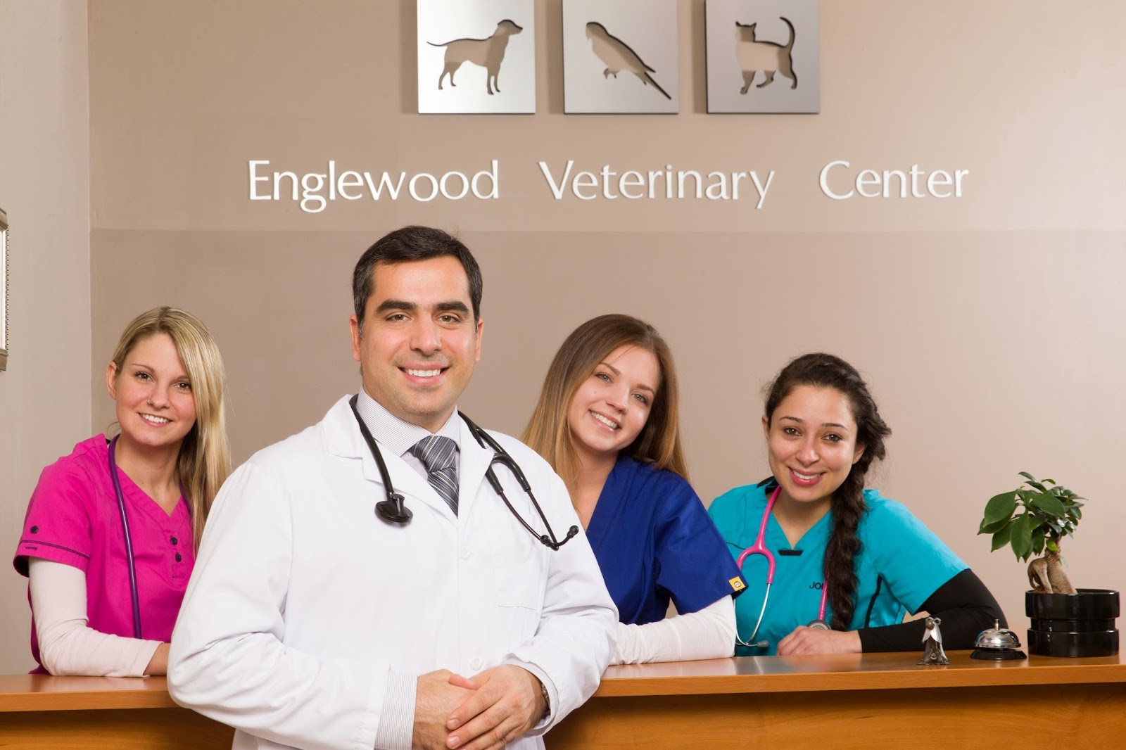 Photo of Englewood Veterinary Center in Englewood City, New Jersey, United States - 6 Picture of Point of interest, Establishment, Health, Veterinary care
