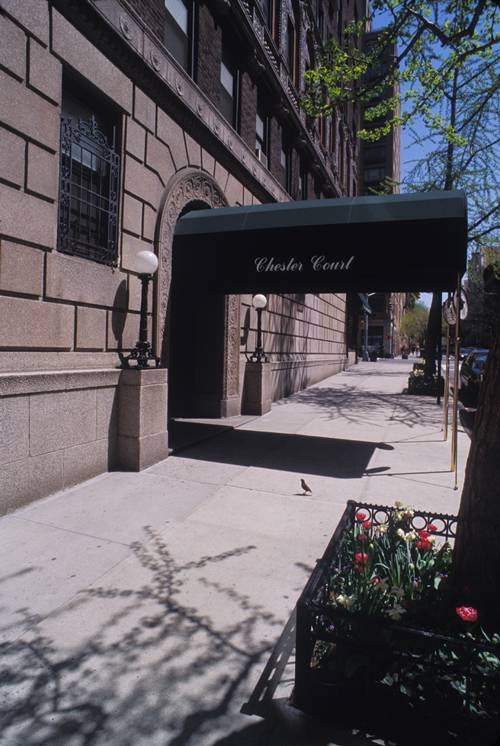 Photo of Chester Court in New York City, New York, United States - 3 Picture of Point of interest, Establishment