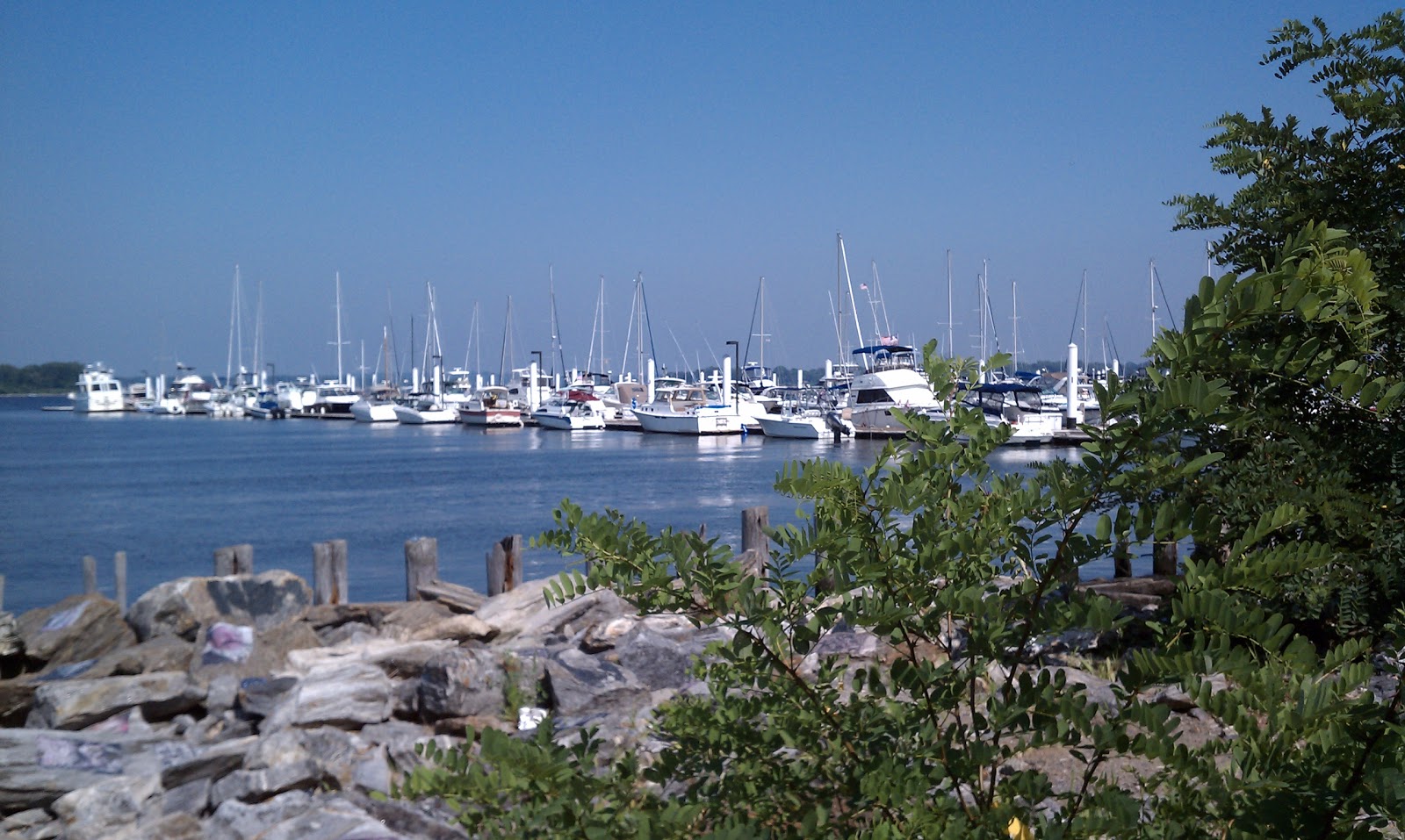 Photo of Ambrosini Field in Bronx City, New York, United States - 1 Picture of Point of interest, Establishment, Park