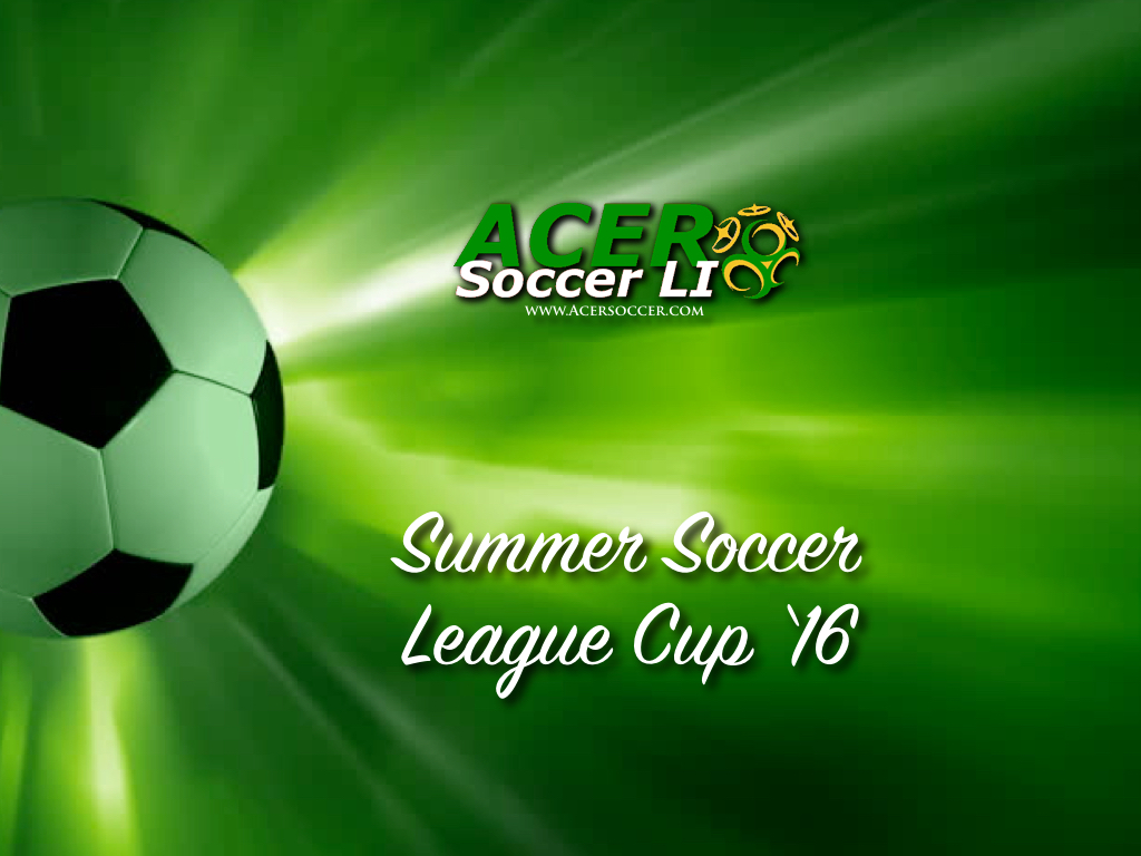 Photo of Acer Soccer LI in Lynbrook City, New York, United States - 5 Picture of Point of interest, Establishment