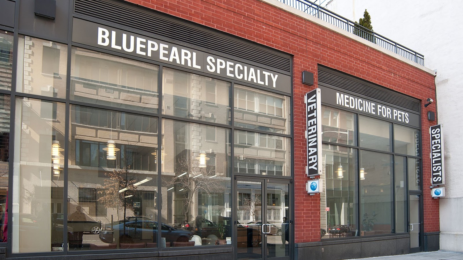 Photo of BluePearl Veterinary Partners in New York City, New York, United States - 1 Picture of Point of interest, Establishment, Health, Veterinary care