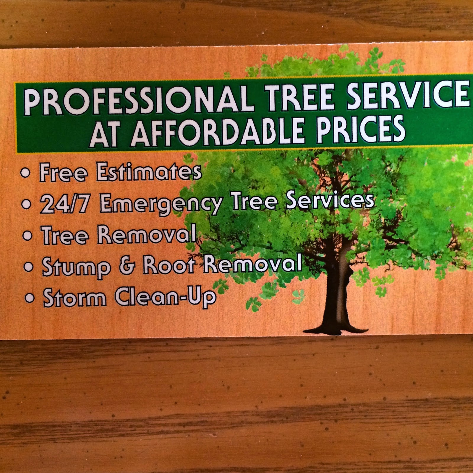 Photo of Solid Oak Professional Tree Service in Staten Island City, New York, United States - 2 Picture of Point of interest, Establishment