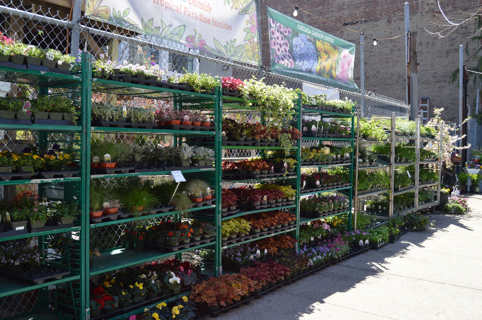 Photo of Chelsea Garden Center Williamsburg in Brooklyn City, New York, United States - 5 Picture of Food, Point of interest, Establishment, Store, Home goods store, General contractor, Park