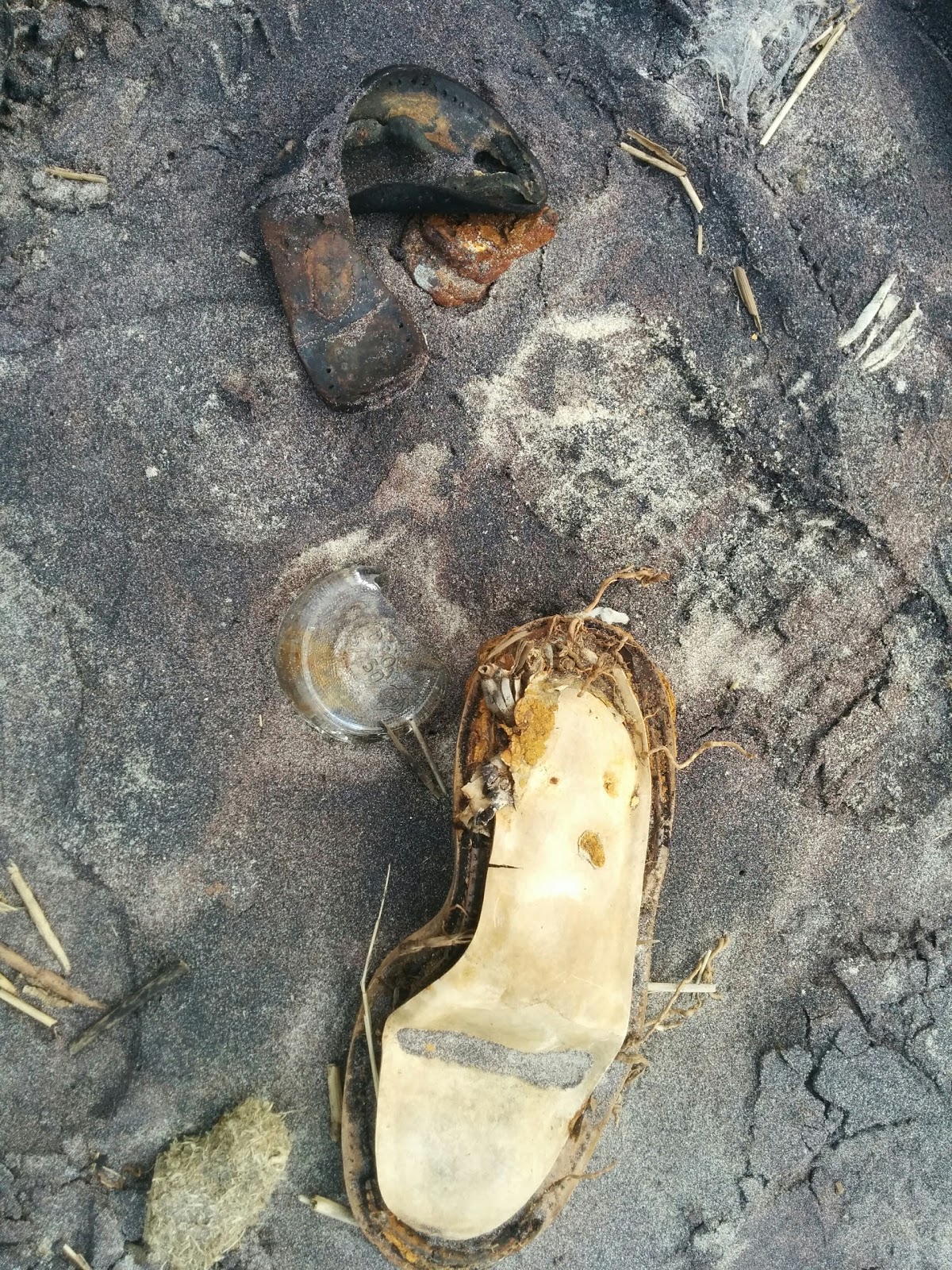 Photo of Glass Bottle Beach in New York City, New York, United States - 3 Picture of Point of interest, Establishment, Park