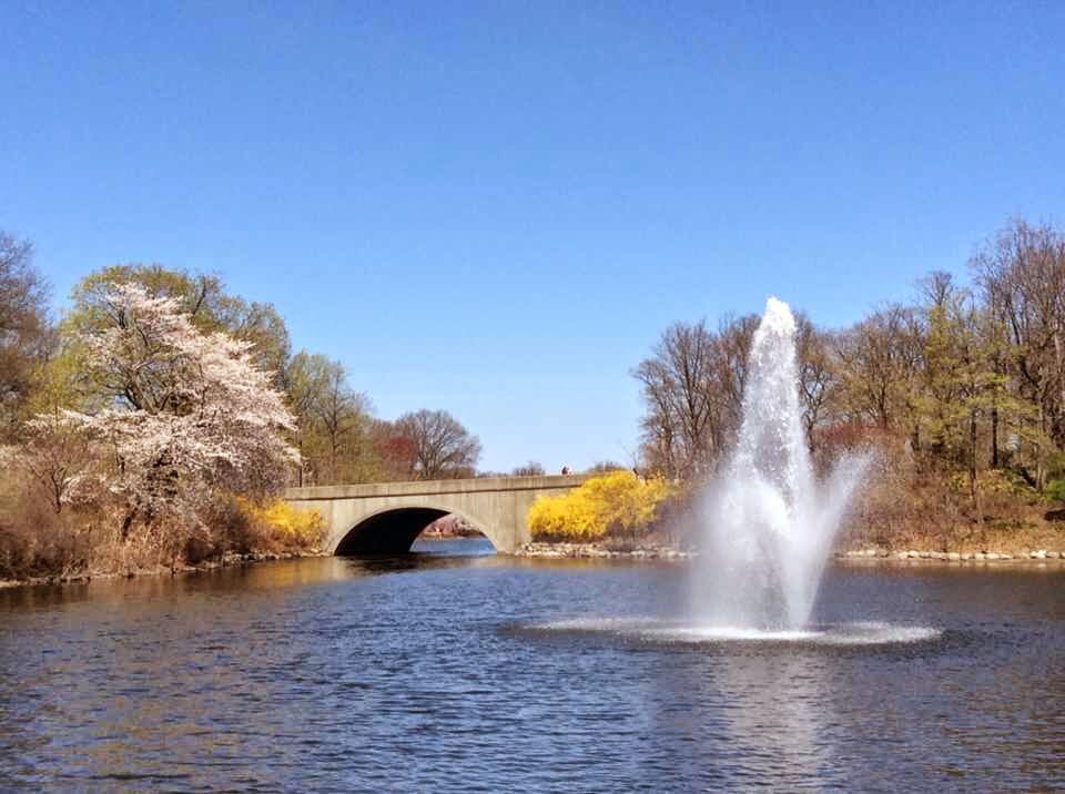 Photo of Branch Brook Park in Newark City, New Jersey, United States - 2 Picture of Point of interest, Establishment, Park