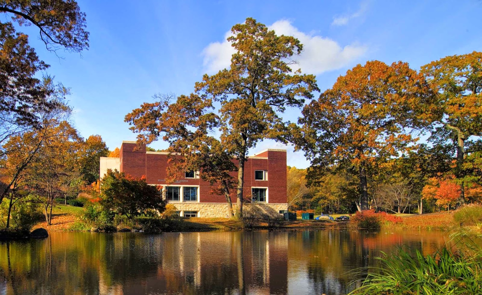 Photo of New York Institute of Technology in Old Westbury City, New York, United States - 2 Picture of Point of interest, Establishment, University