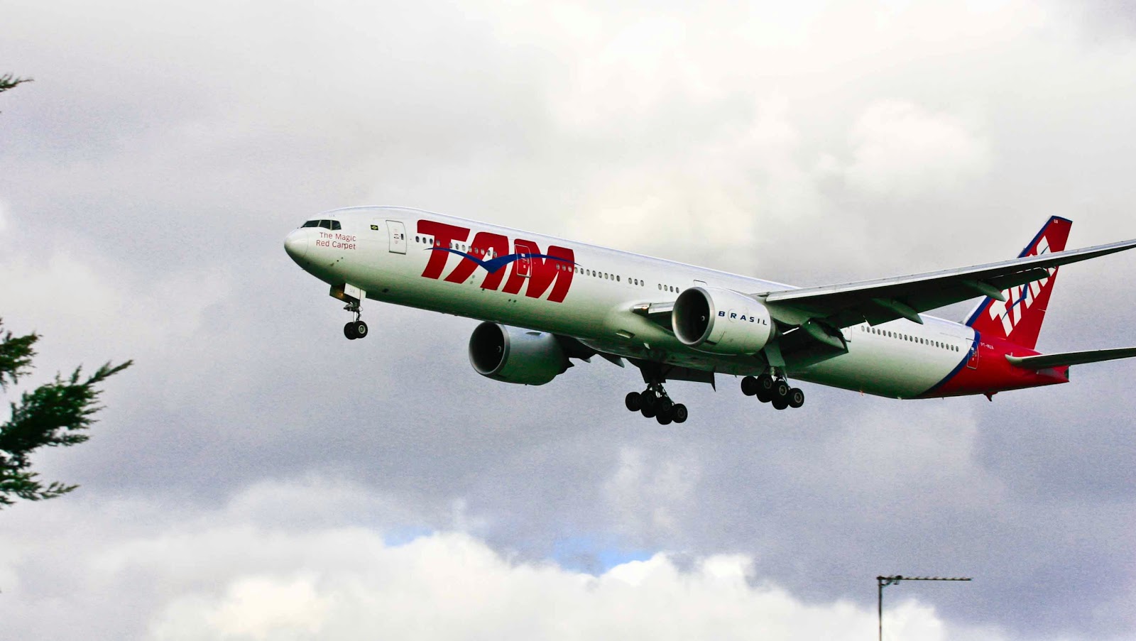 Photo of Tam Brazilian Airlines in New York City, New York, United States - 5 Picture of Point of interest, Establishment