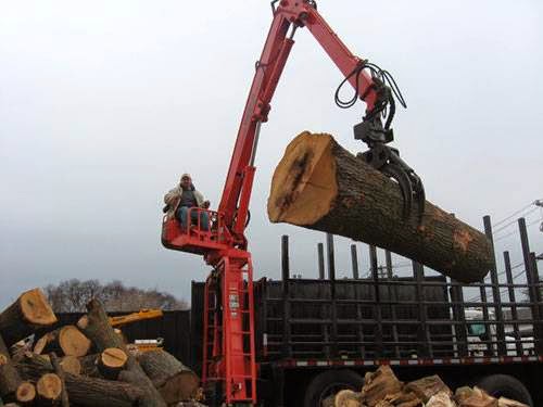 Photo of JC Tree Care in Freeport City, New York, United States - 2 Picture of Point of interest, Establishment