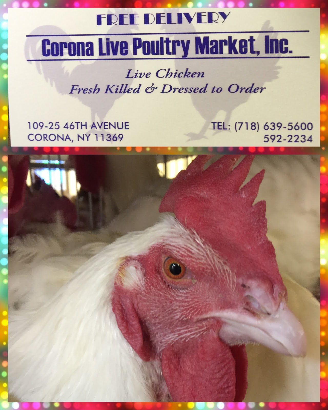 Photo of Corona Live Poultry Market, Inc. in Queens City, New York, United States - 1 Picture of Food, Point of interest, Establishment, Store