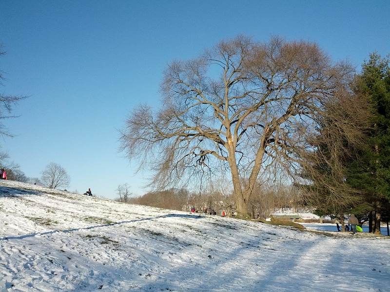 Photo of Goffle Brook Park in Hawthorne City, New Jersey, United States - 5 Picture of Point of interest, Establishment, Park