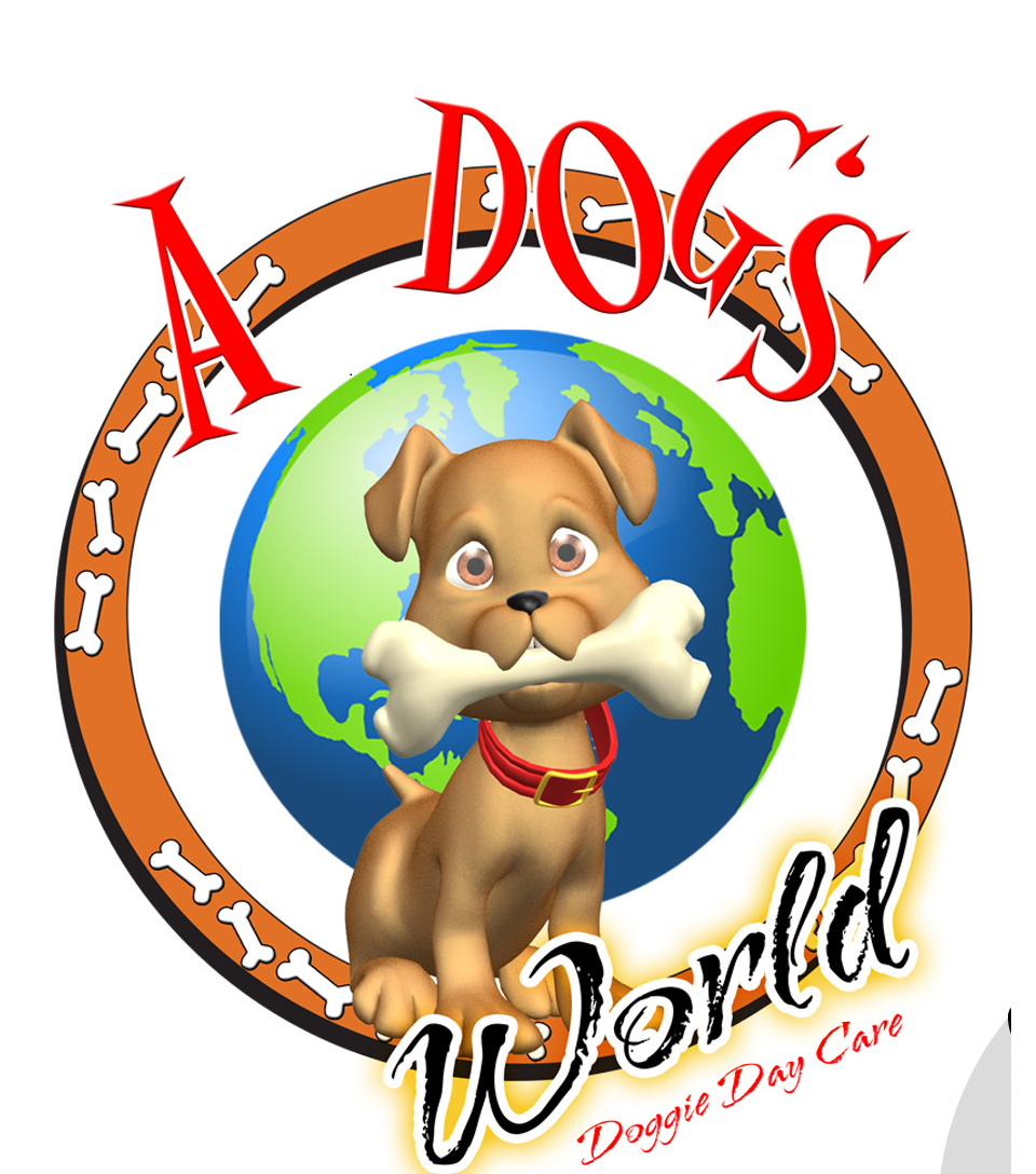 Photo of A Dog's World doggie day care in Hawthorne City, New Jersey, United States - 1 Picture of Point of interest, Establishment