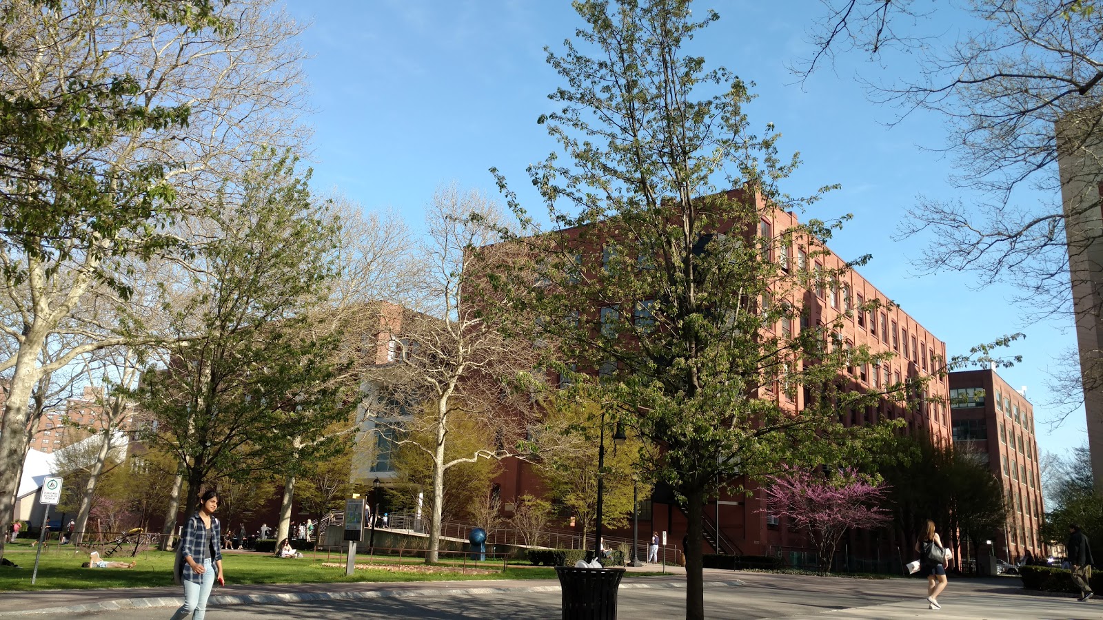 Photo of Pratt Institute Libraries in Kings County City, New York, United States - 1 Picture of Point of interest, Establishment, Library