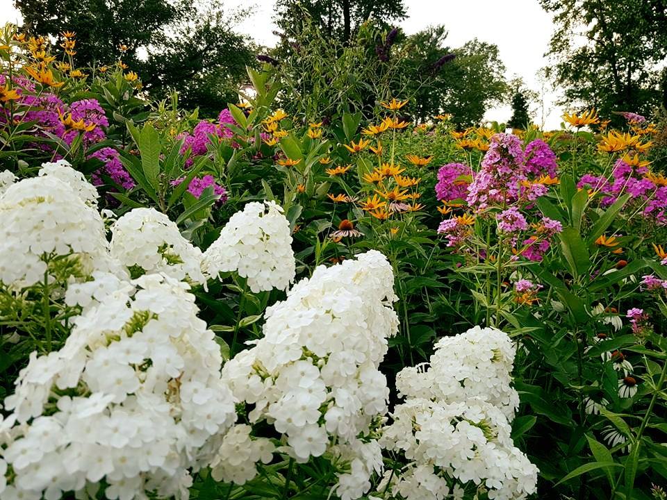 Photo of Butterfly Gardens of Central Park in New York City, New York, United States - 1 Picture of Point of interest, Establishment, Park