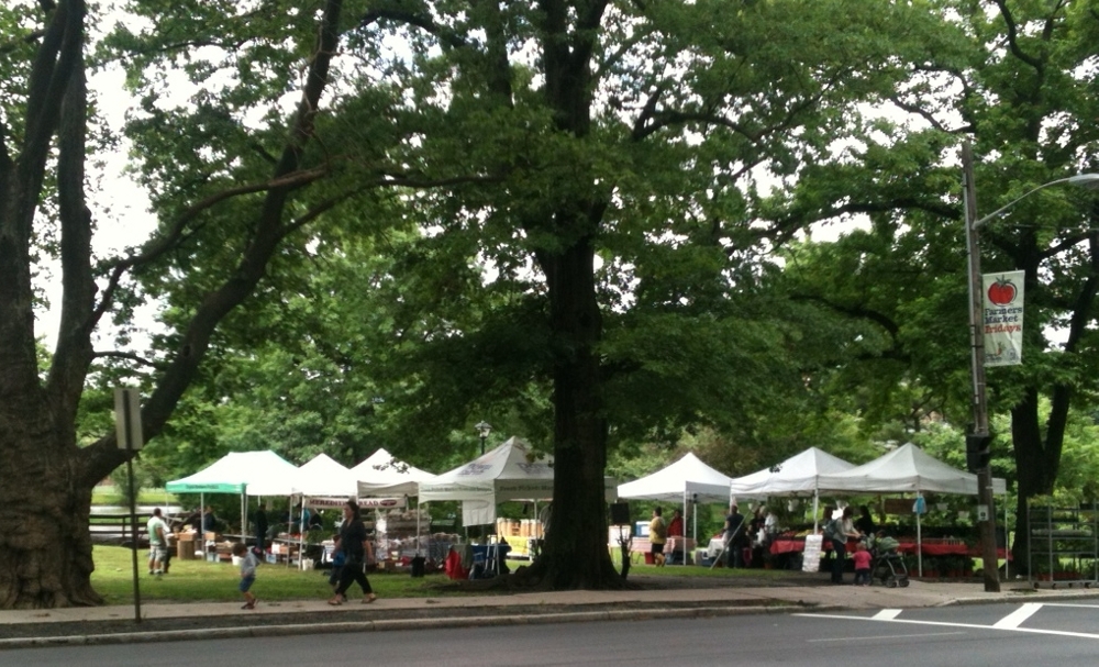 Photo of New Rochelle Farmers Market in New Rochelle City, New York, United States - 1 Picture of Food, Point of interest, Establishment