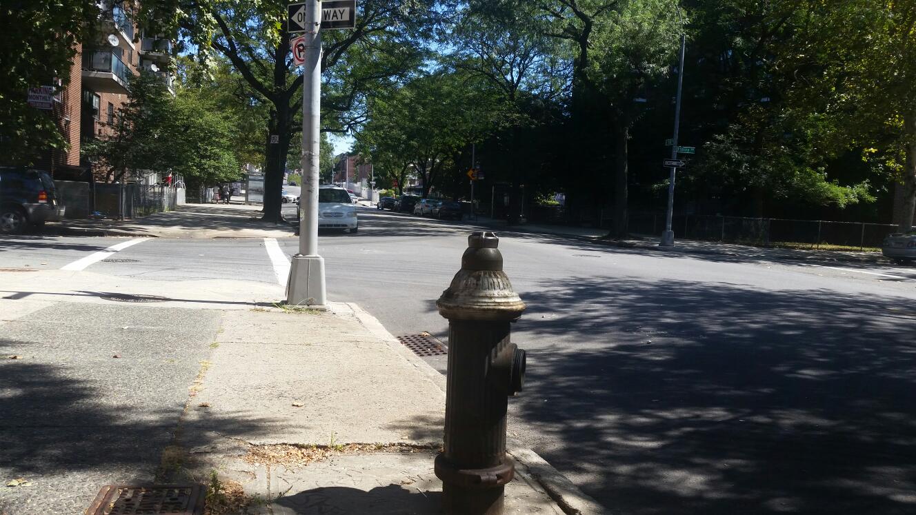 Photo of Metcalf Playground (Park) in Bronx City, New York, United States - 3 Picture of Point of interest, Establishment, Park