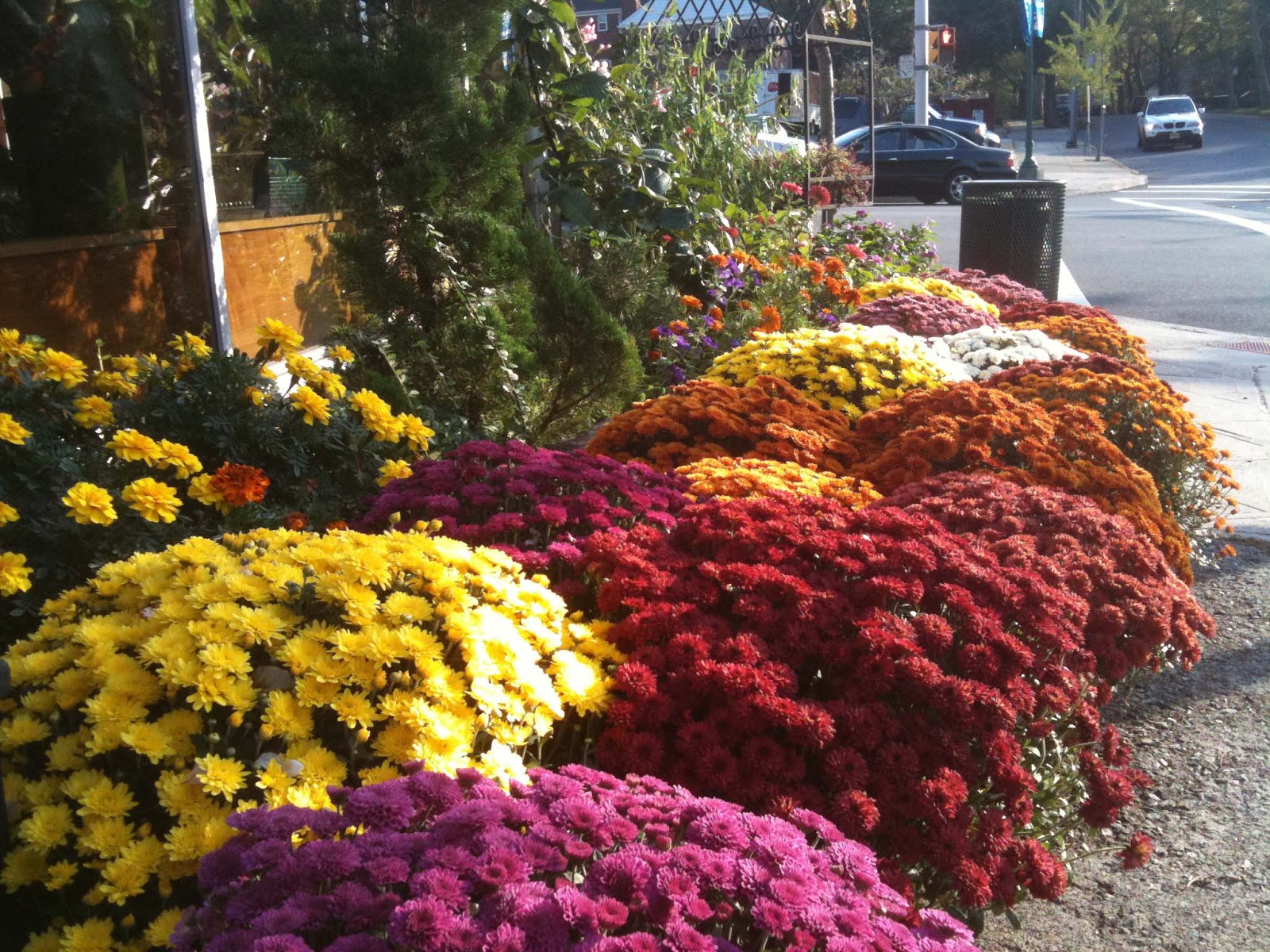 Photo of Tiger Lily Flowers in Teaneck City, New Jersey, United States - 3 Picture of Point of interest, Establishment, Store, Jewelry store, Florist, Art gallery