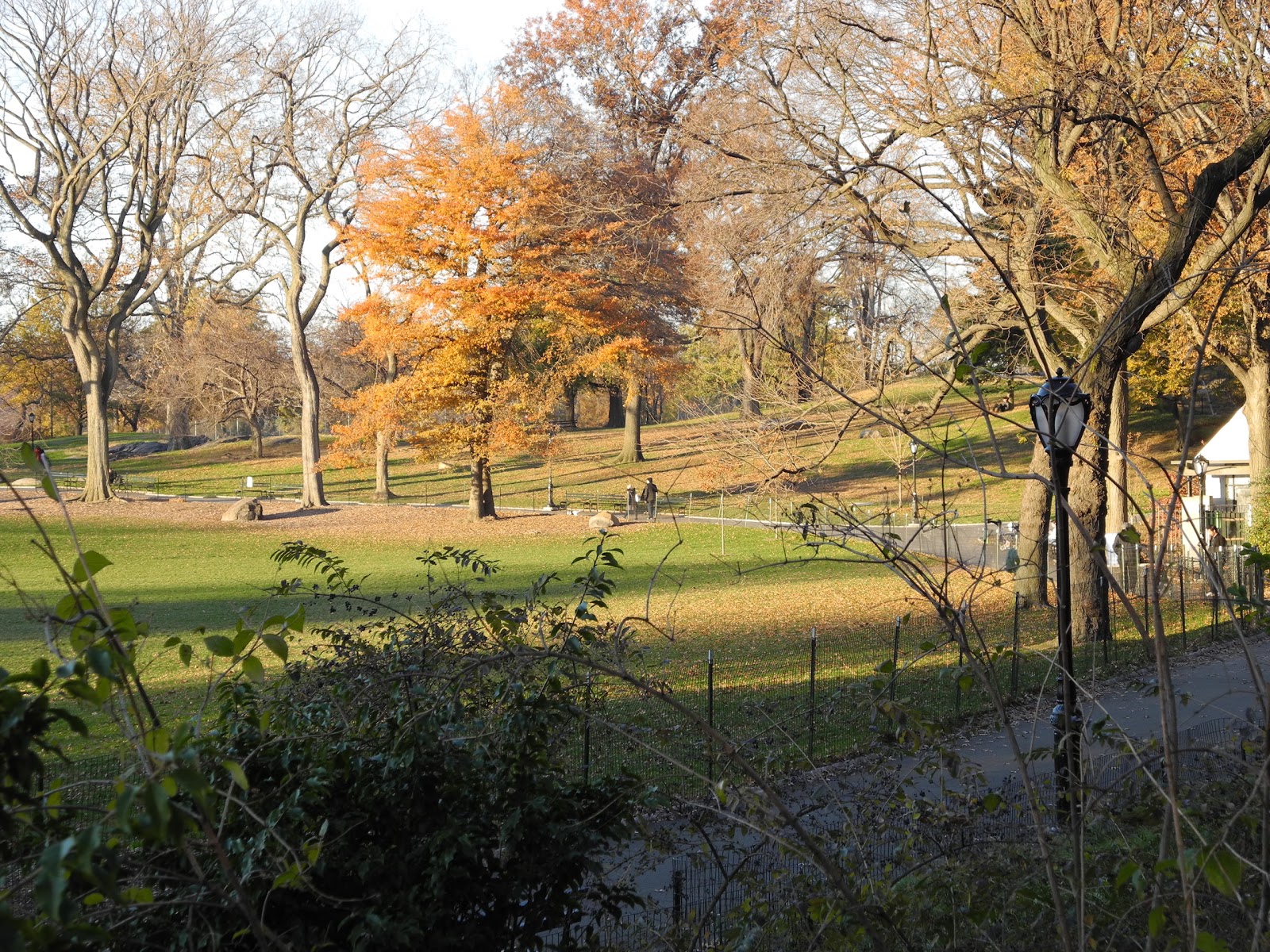 Photo of East Meadow in New York City, New York, United States - 2 Picture of Point of interest, Establishment, Park