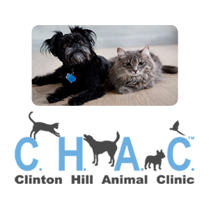 Photo of Clinton Hill Animal Clinic in Kings County City, New York, United States - 4 Picture of Point of interest, Establishment, Veterinary care