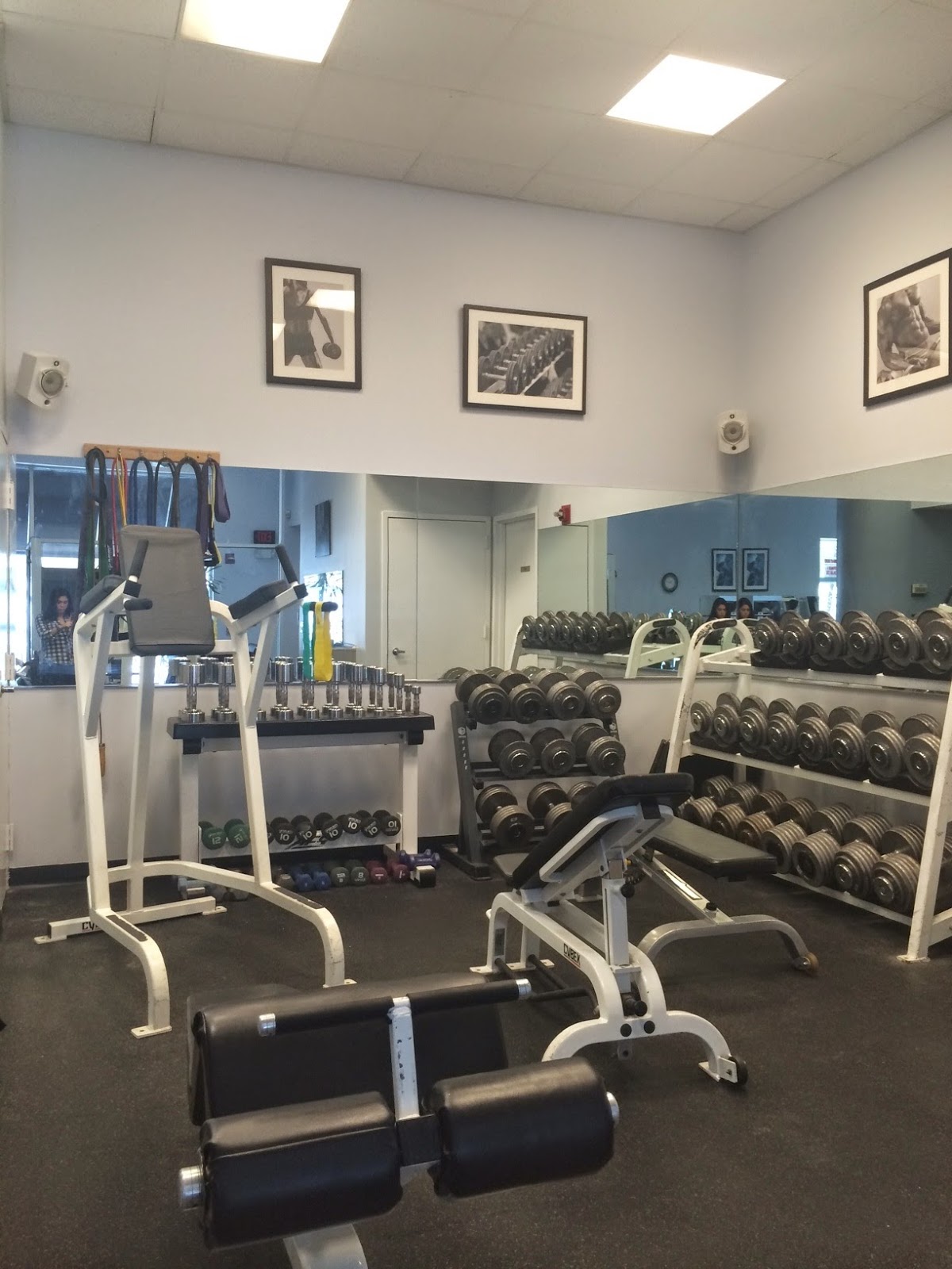 Photo of Elite Fitness in Locust Valley City, New York, United States - 2 Picture of Point of interest, Establishment, Health, Gym