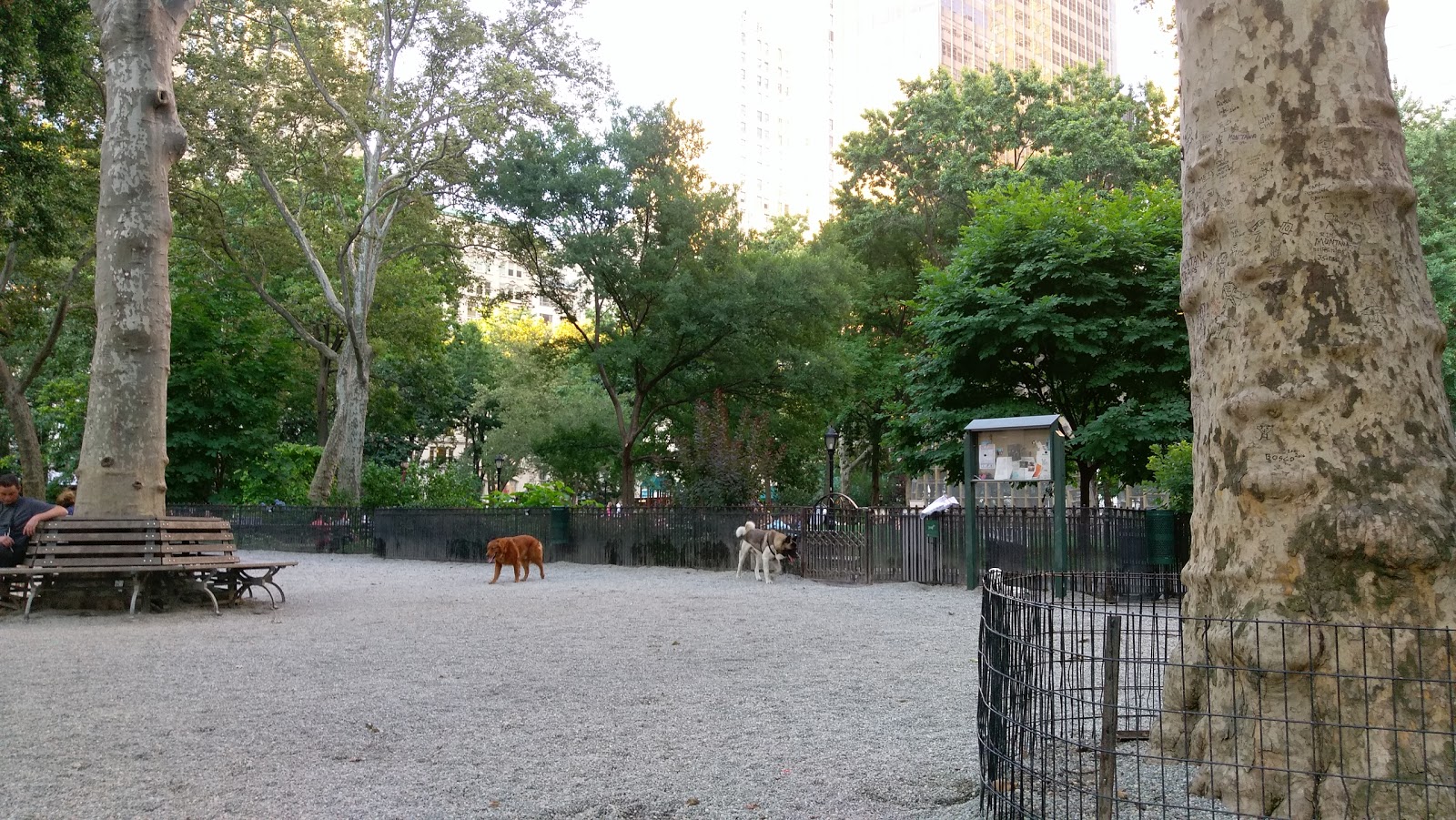 Photo of Madison Square Dog Run in New York City, New York, United States - 2 Picture of Point of interest, Establishment