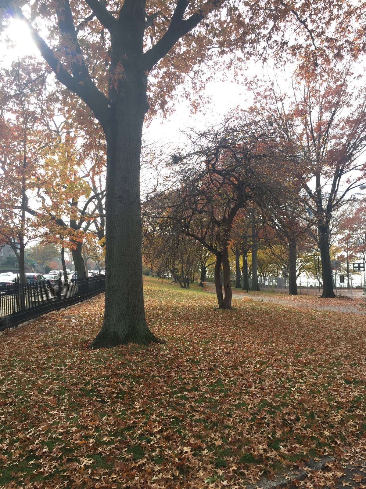 Photo of Narrows Botanical Garden in Brooklyn City, New York, United States - 1 Picture of Point of interest, Establishment, Park