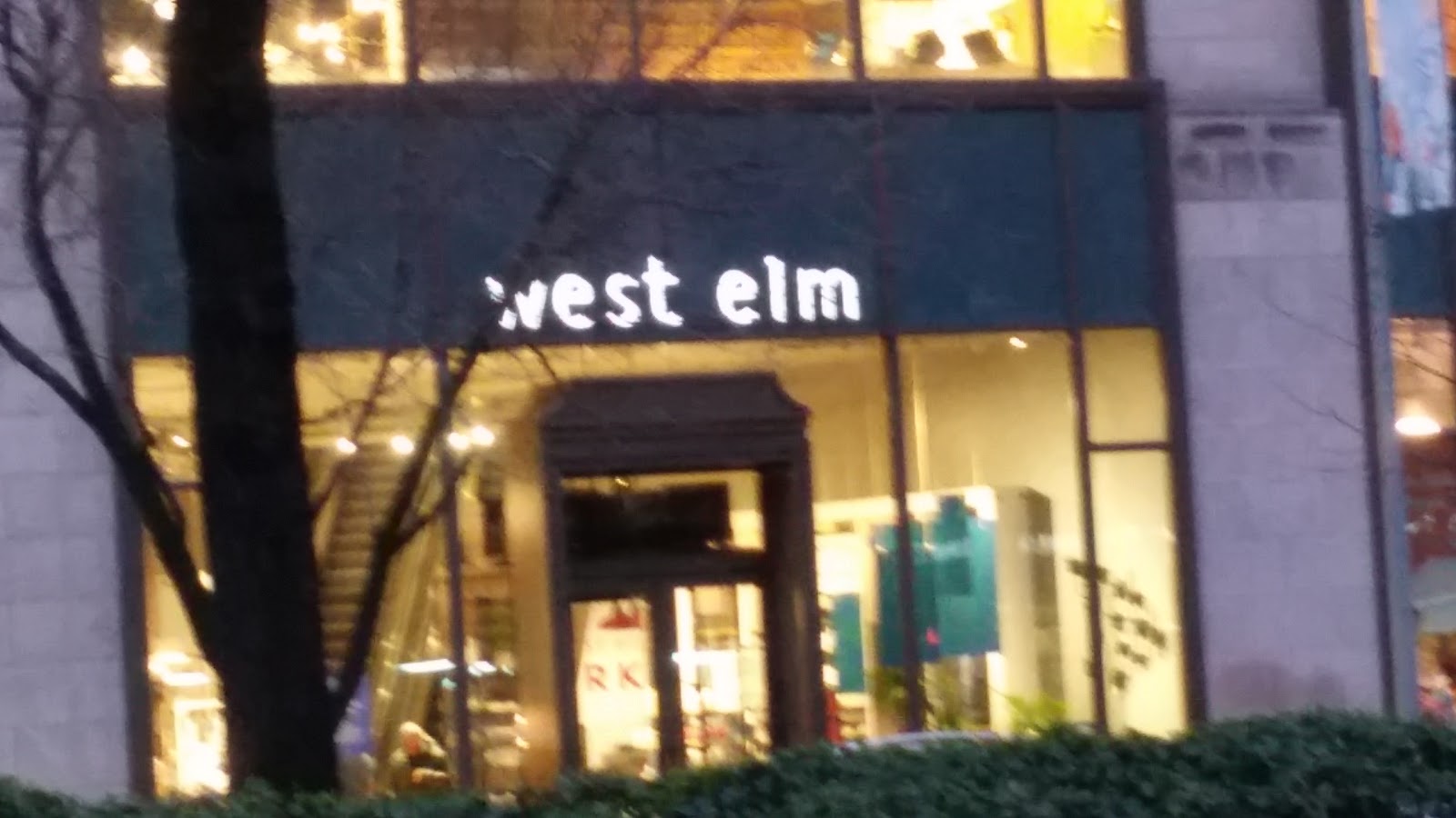 Photo of west elm in New York City, New York, United States - 1 Picture of Point of interest, Establishment, Store, Home goods store, Furniture store