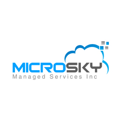 Photo of MicroSky Managed Services, Inc. in Richmond City, New York, United States - 3 Picture of Point of interest, Establishment