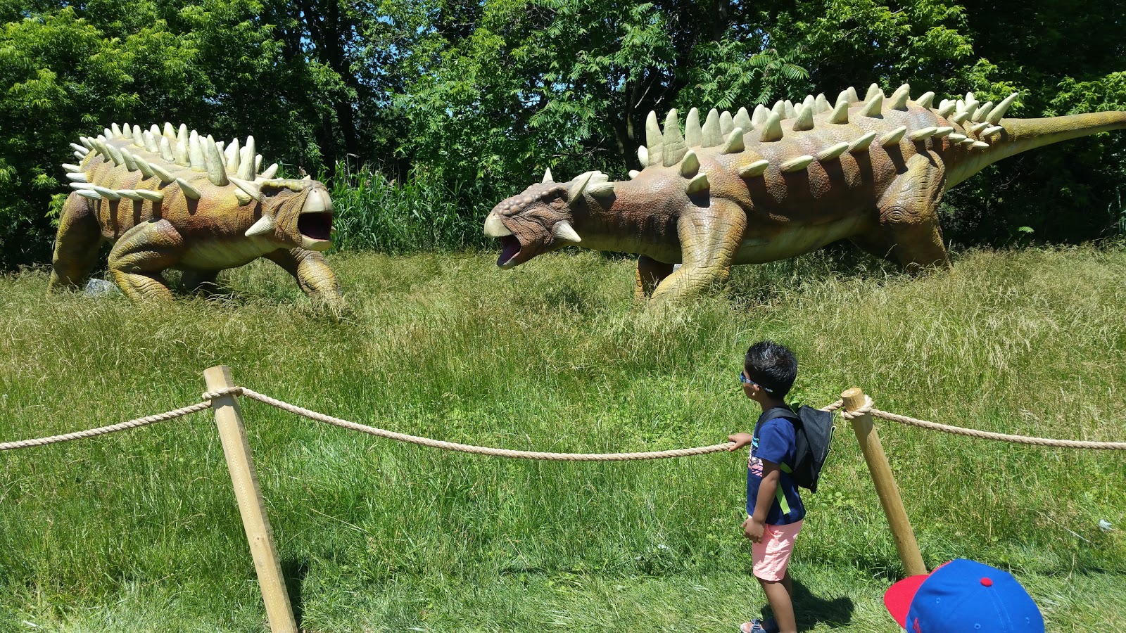 Photo of Field Station: Dinosaurs in Leonia City, New Jersey, United States - 7 Picture of Point of interest, Establishment, Amusement park