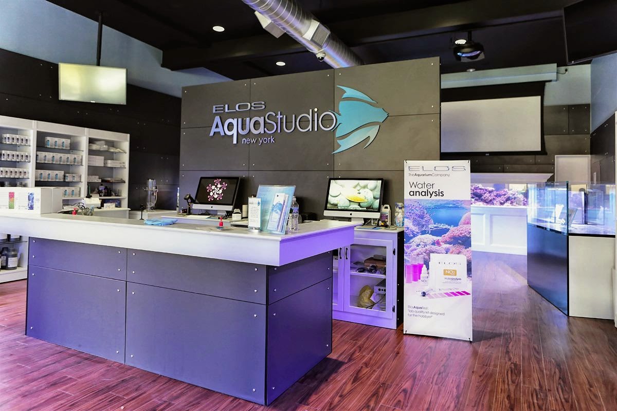 Photo of AquaStudio Reef Exotics New York/New Jersey Metro in Short Hills City, New Jersey, United States - 6 Picture of Point of interest, Establishment, Store, Pet store