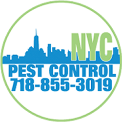 Photo of NYC Pest Control in Kings County City, New York, United States - 4 Picture of Point of interest, Establishment, Store, Home goods store