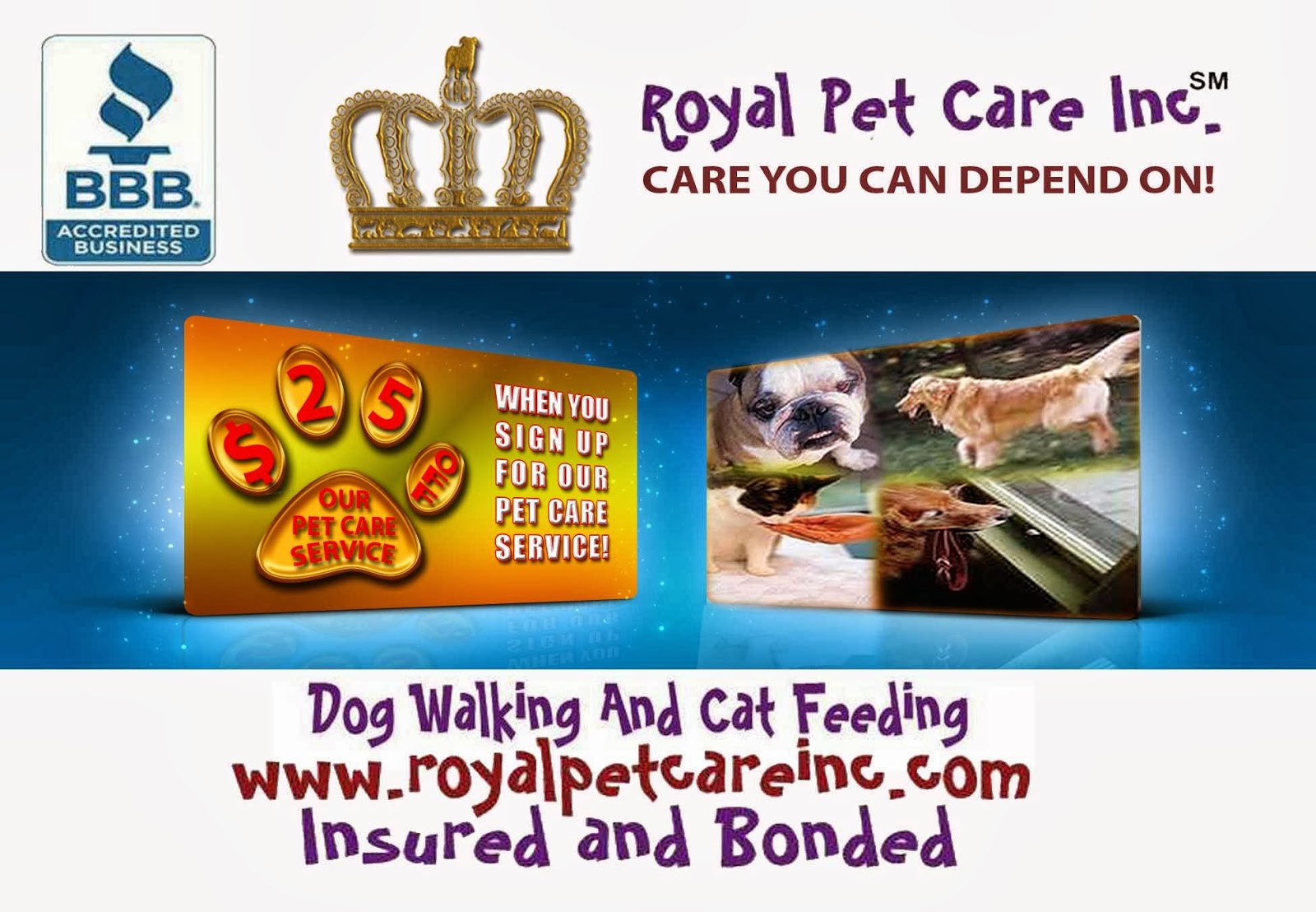 Photo of ROYAL PET CARE in New York City, New York, United States - 4 Picture of Point of interest, Establishment, Store, Pet store