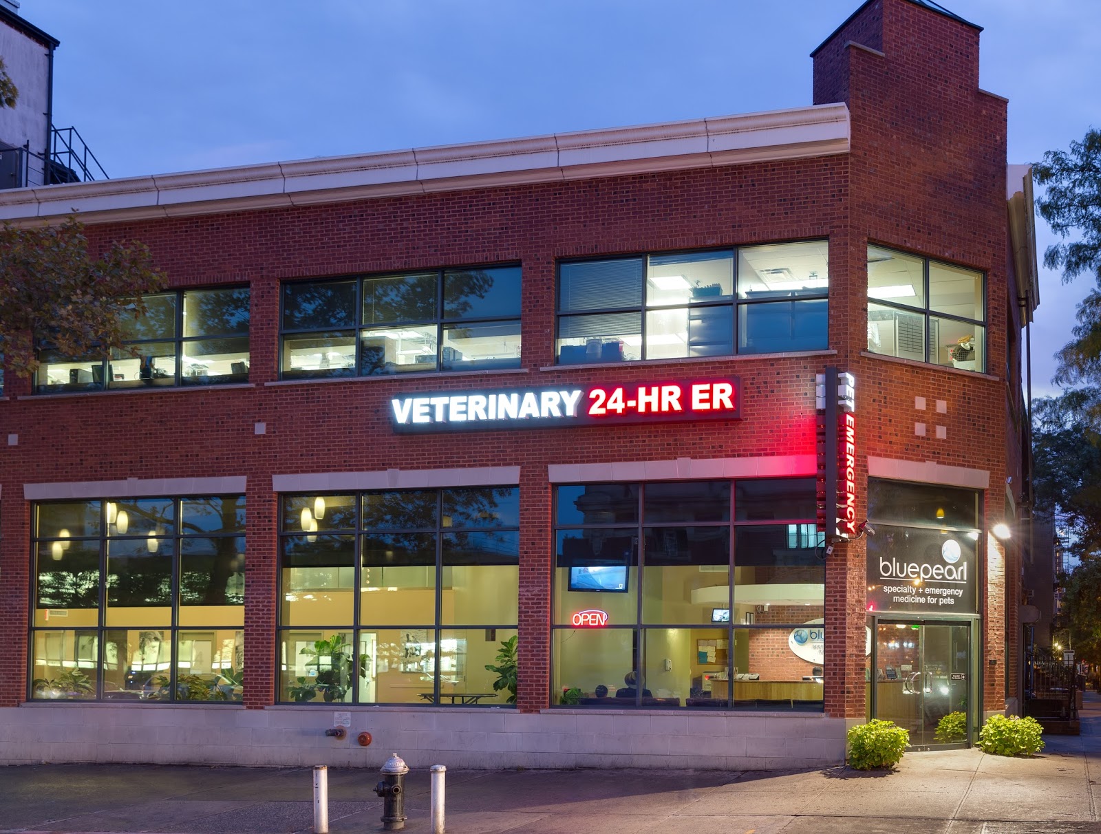 Photo of BluePearl Veterinary Partners - Brooklyn in Kings County City, New York, United States - 1 Picture of Point of interest, Establishment, Health, Veterinary care