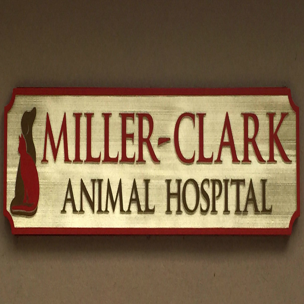 Photo of Miller-Clark Animal Hospital in Mamaroneck City, New York, United States - 8 Picture of Point of interest, Establishment, Veterinary care