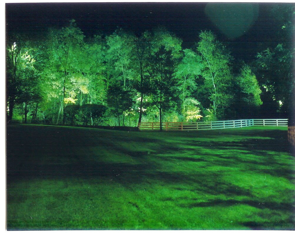 Photo of Scapelite Landscape Lighting Design in Township of Washington City, New Jersey, United States - 4 Picture of Point of interest, Establishment, General contractor