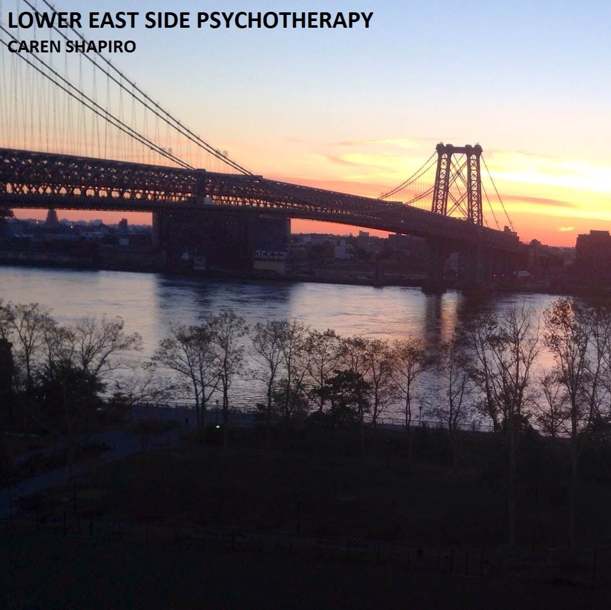 Photo of Lower East Side Psychotherapy in New York City, New York, United States - 1 Picture of Point of interest, Establishment, Health
