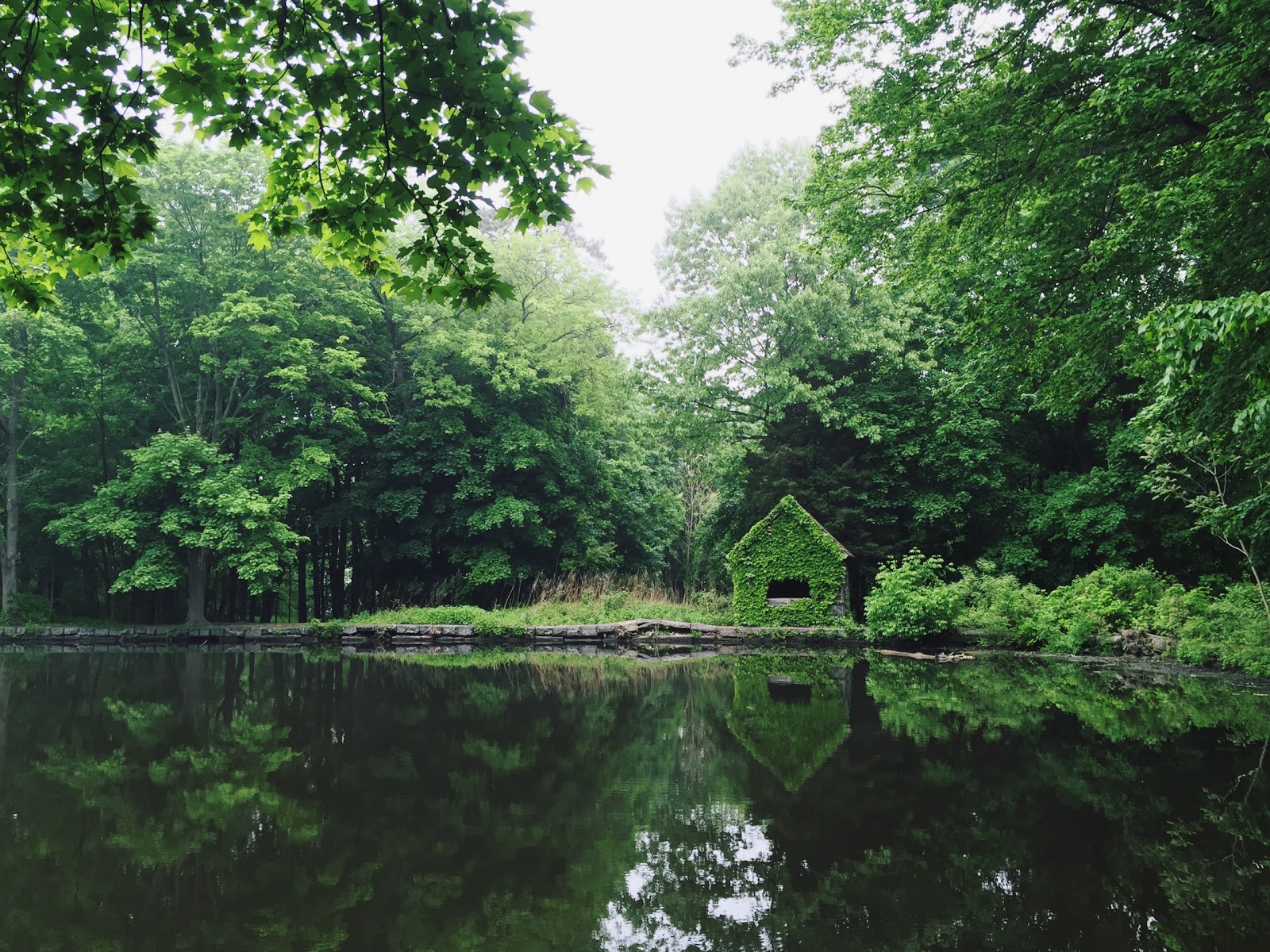 Photo of Sheldrake Environmental Center in Larchmont City, New York, United States - 1 Picture of Point of interest, Establishment, Park