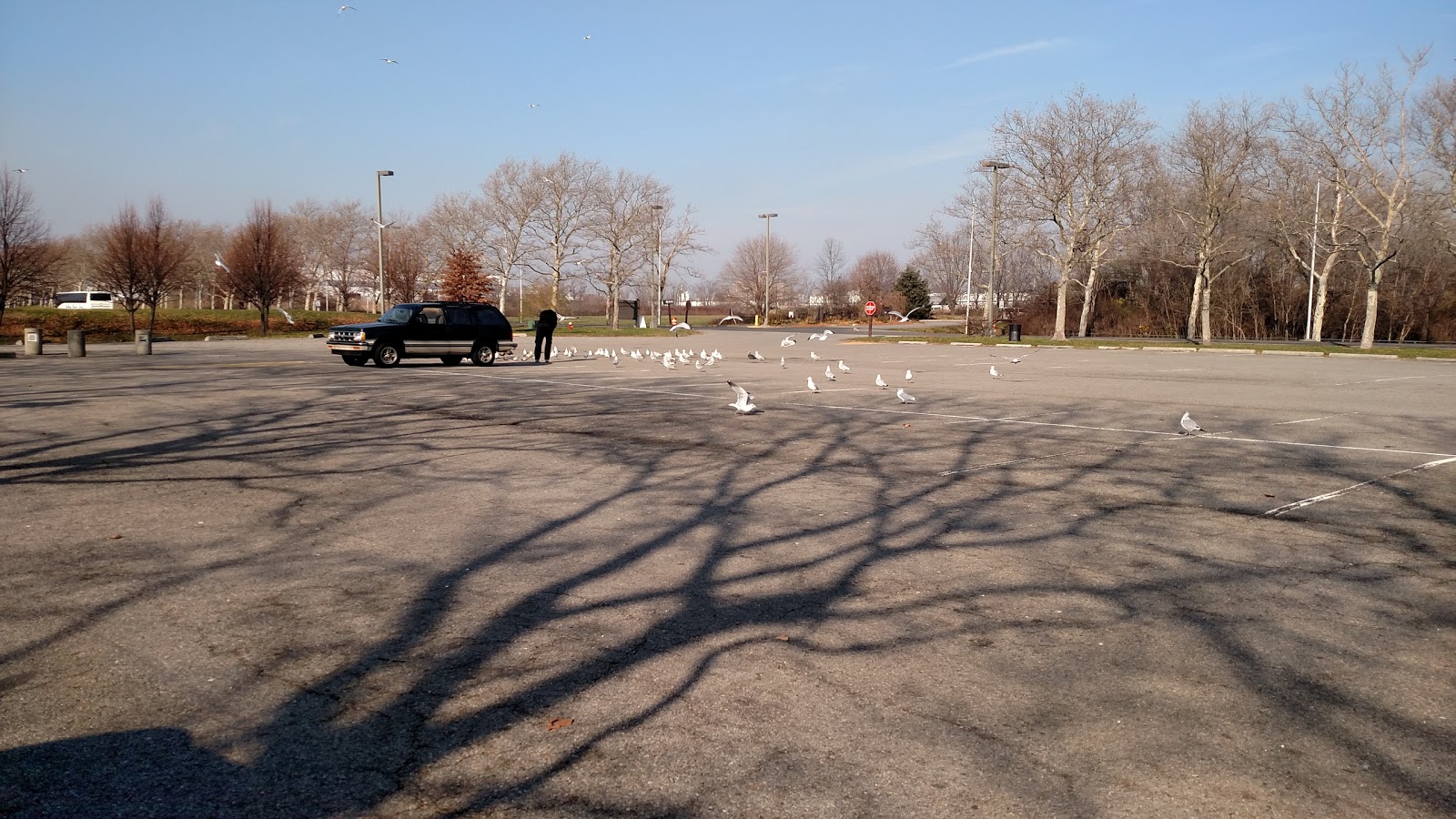 Photo of Flag Plaza in Jersey City, New Jersey, United States - 9 Picture of Point of interest, Establishment, Park