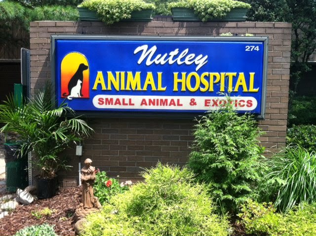 Photo of Nutley Animal Hospital in Nutley City, New Jersey, United States - 1 Picture of Point of interest, Establishment, Veterinary care