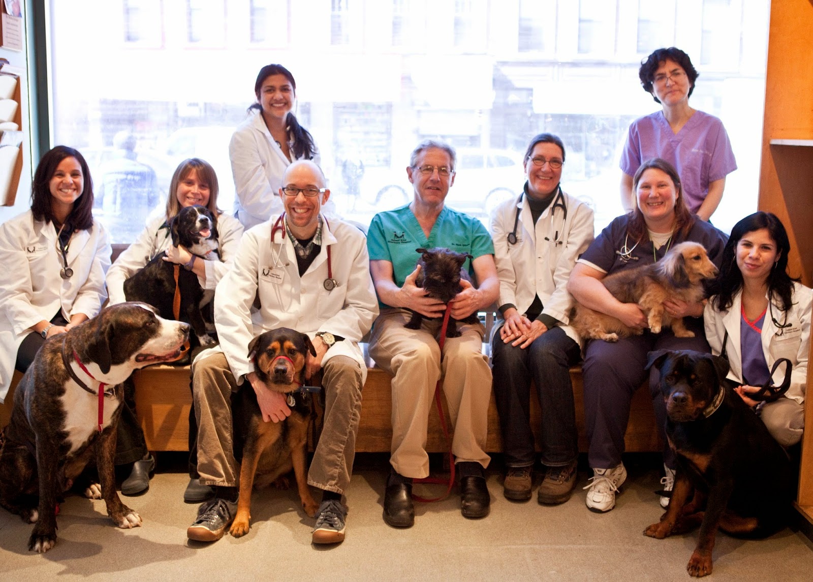 Photo of Animal Kind Veterinary Hospital in Brooklyn City, New York, United States - 1 Picture of Point of interest, Establishment, Health, Veterinary care