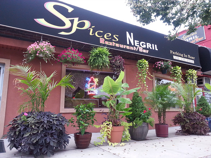 Photo of Spices Negril Restaurant & Lounge in South Hempstead City, New York, United States - 2 Picture of Restaurant, Food, Point of interest, Establishment, Bar, Night club
